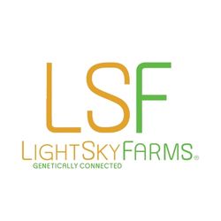 Photograph of product: LightSky Farms - Electric Gorilla Butter - Live Rosin - - Oui'd Dom