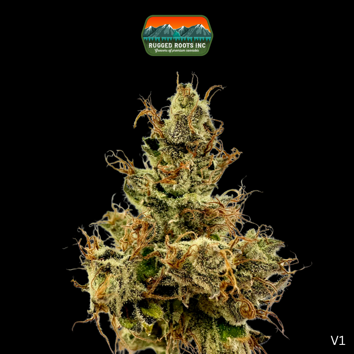 Photograph of product: Rugged Roots | Dizzzy 3.5g