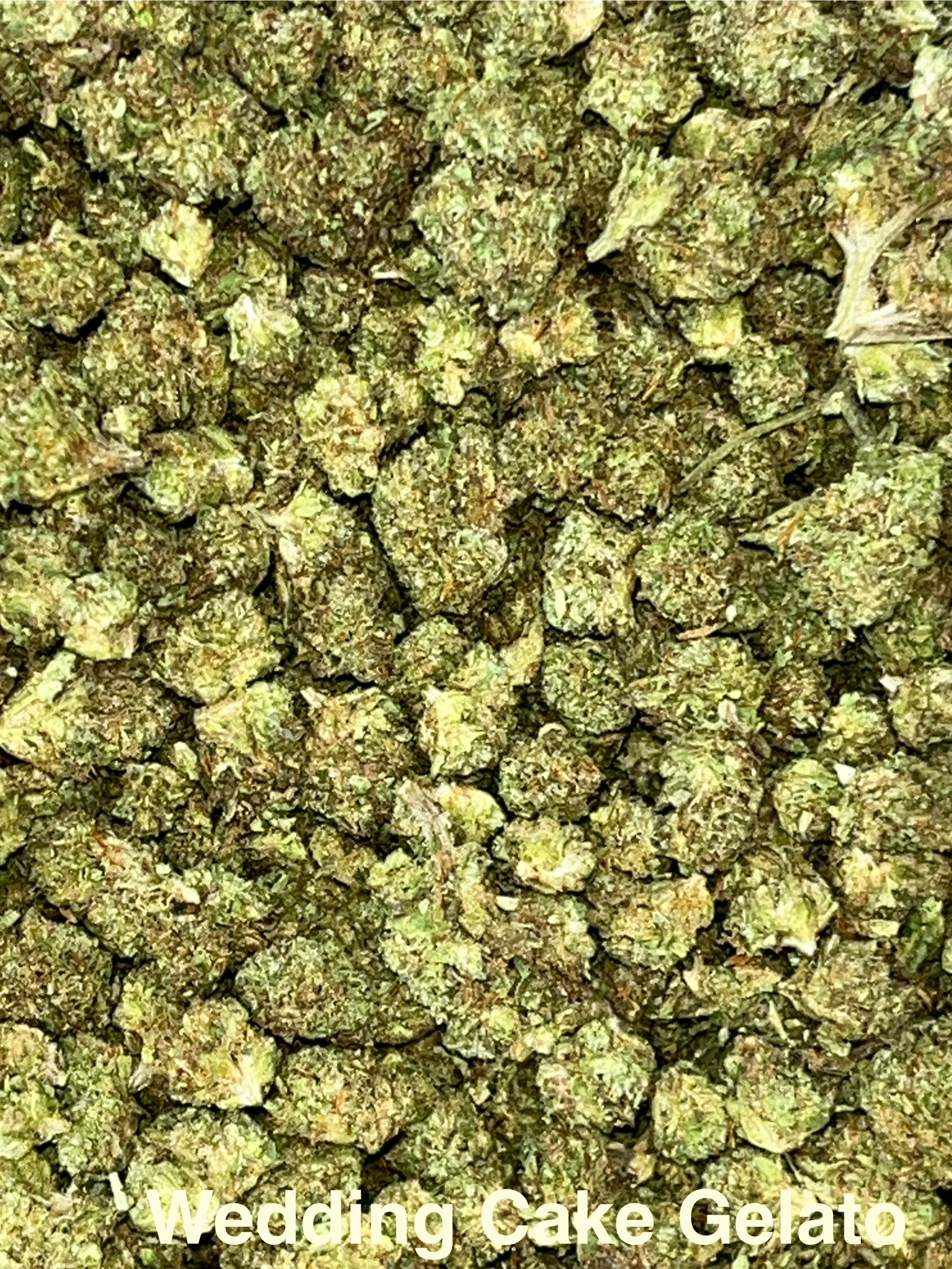 Photograph of product: Michigan Roots Bulk | Wedding Cake Gelato - Oui'd - 14g