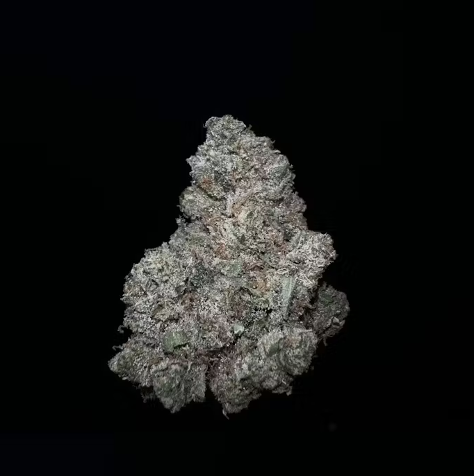 Photograph of product: Quattro Kush F3 x Lilac Diesel (S-H) - 3.5g