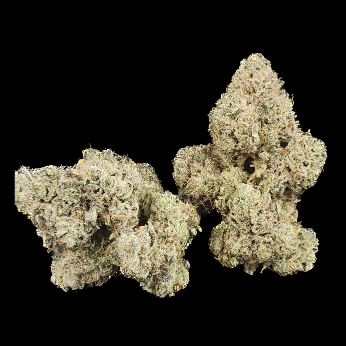 Photograph of product: Subterra Oui'd | Double Cherry Crescendo | Bulk Flower - 28g