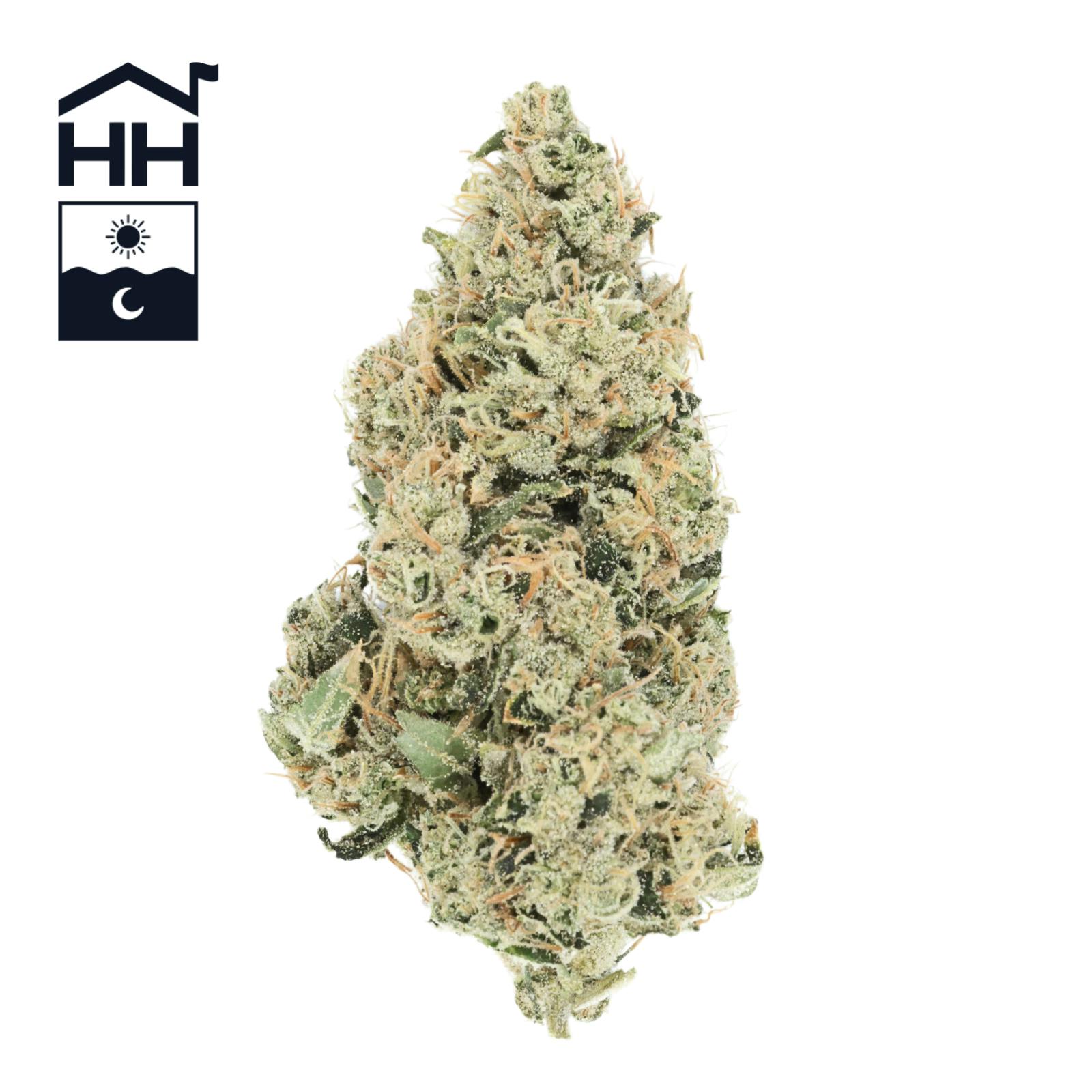 Photograph of product: Aspen OG | Flower | 3.5g