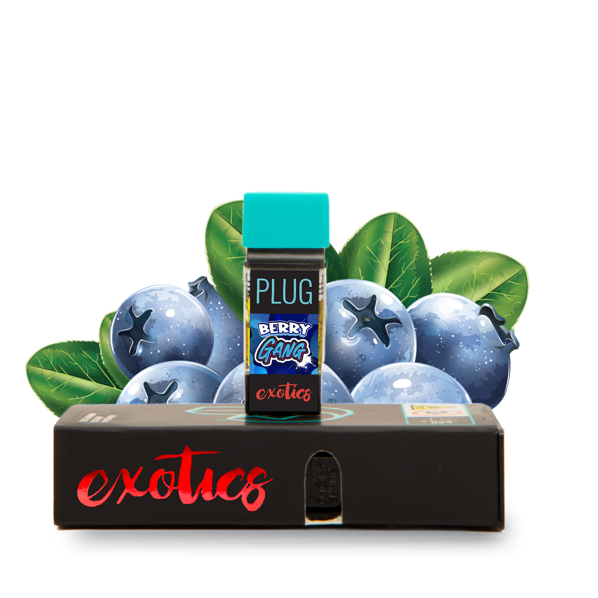 Photograph of Product: Plug Play - Berry Gang Pod