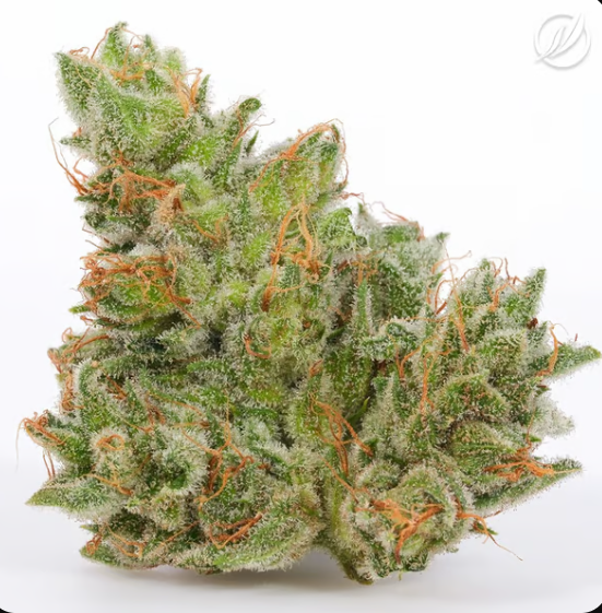 Photograph of product: Savvy Smalls 7g OGKB Stomper H 25874