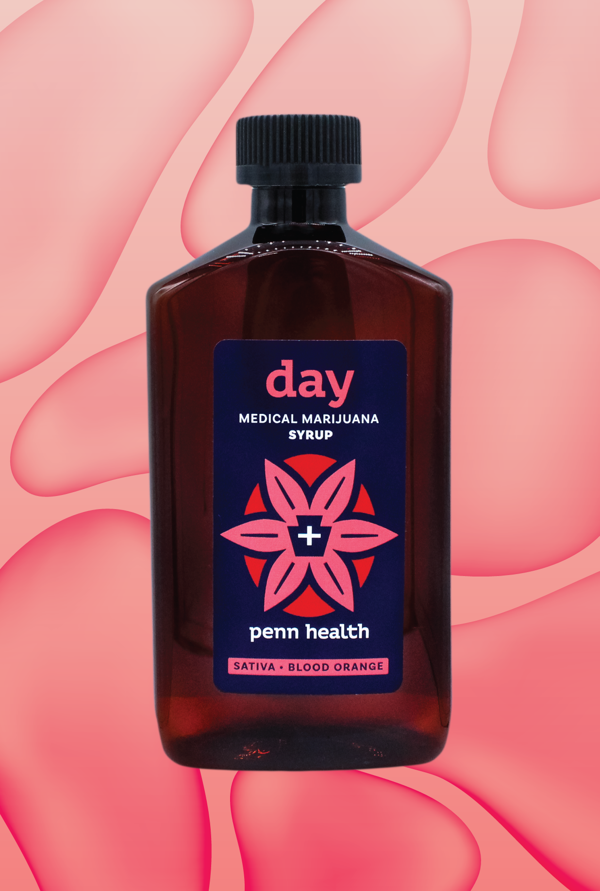 Photograph of product: Day Ratioed Vanilla Syrup 250mg
