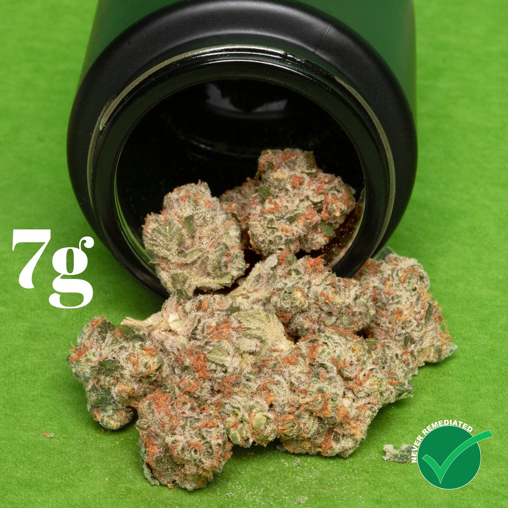 Photograph of product: Pey Cough 7g | Hybrid (4987)
