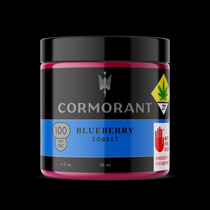 Photograph of product: Blueberry 1:1 CBD Sorbet | 4oz (DOH)