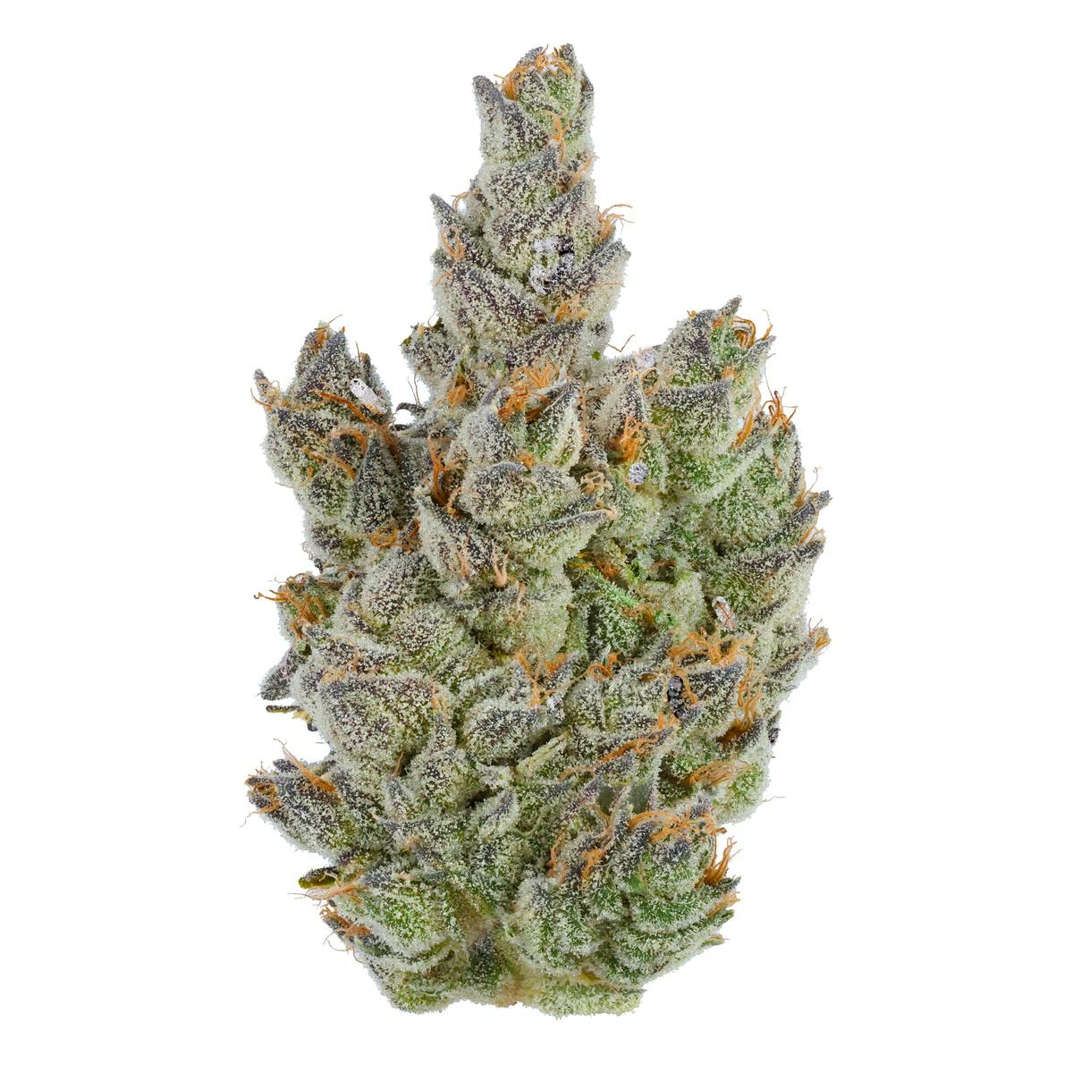 Photograph of product: Fig Farms | Moonana Chronic | Indoor Flower | 1/8oz - 3.5g
