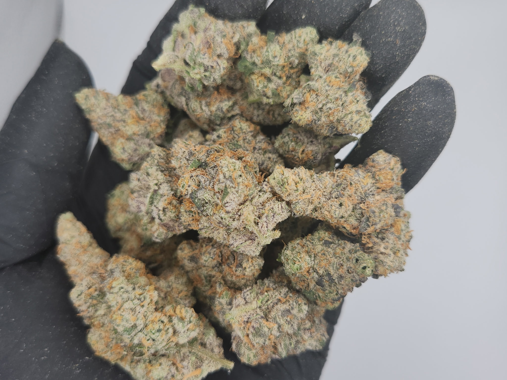 Photograph of product: Bud & Mary's | Bulk Bud - South Beach - 28g