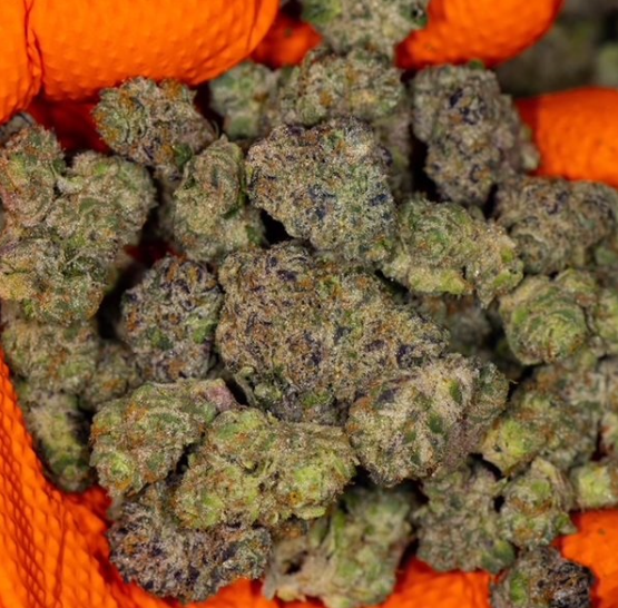 Photograph of product: FA Flora Popcorn - Lemon cherry Gelato 7g