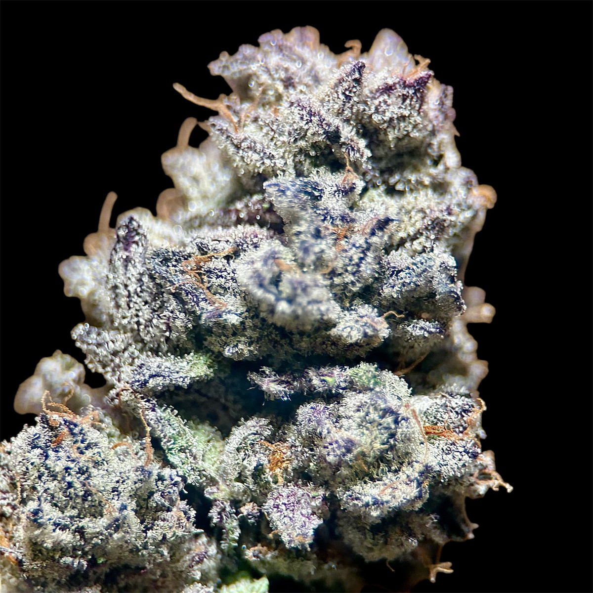 Photograph of product: Afghani - 28g