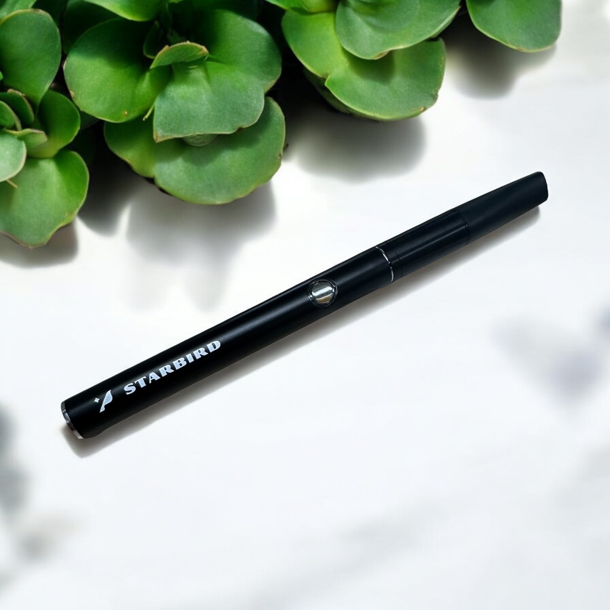 Photograph of product: Starbird Battery