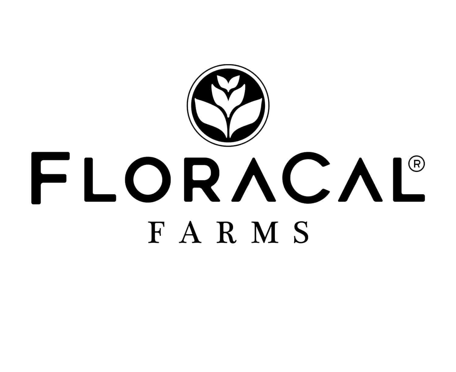 Photograph of product: Tropical Blend | Live Rosin Troches | 10mg 10pk