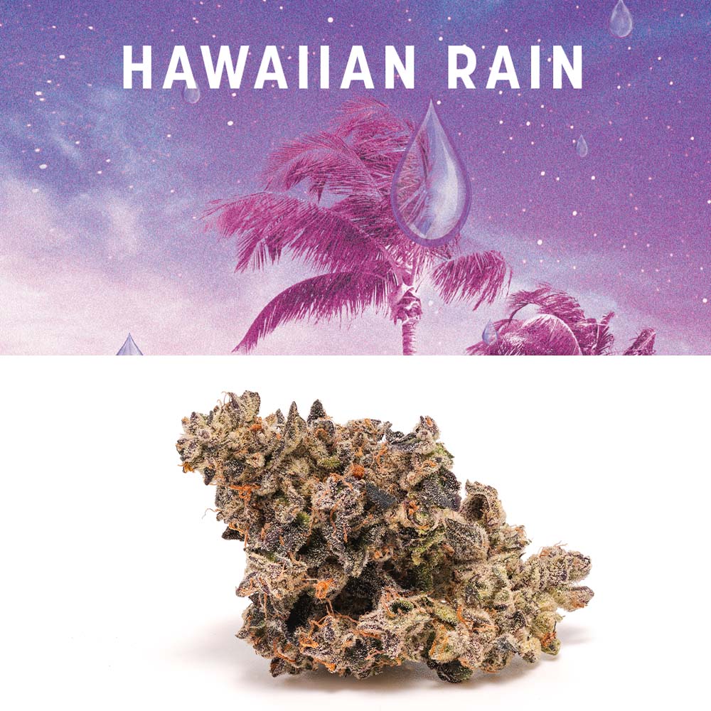 Photograph of product: Cookies | Hawaiian Rain | 1g Cartridge