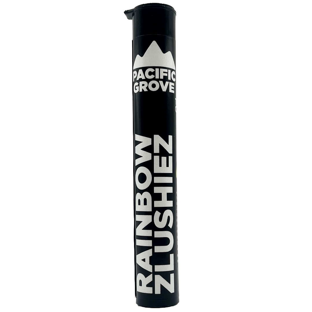 Photograph of product: PG- Rainbow Zlushies 1G pre-roll