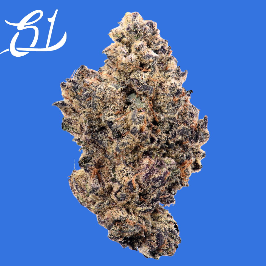 Photograph of product: Adios MF - 14g