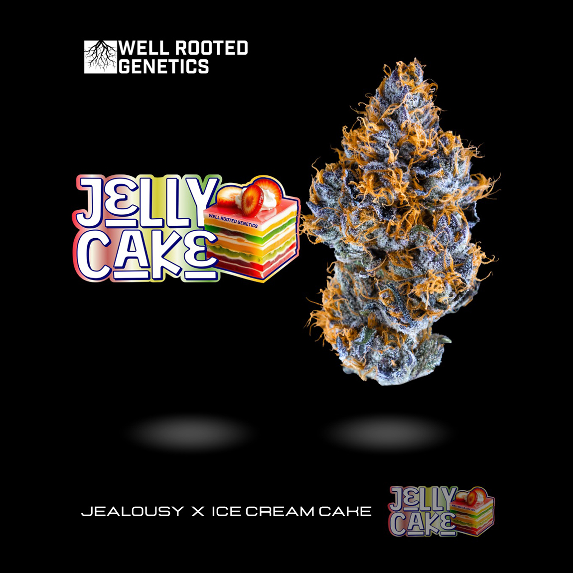 Photograph of product: Well Rooted | Jelly Cake | 3.5g
