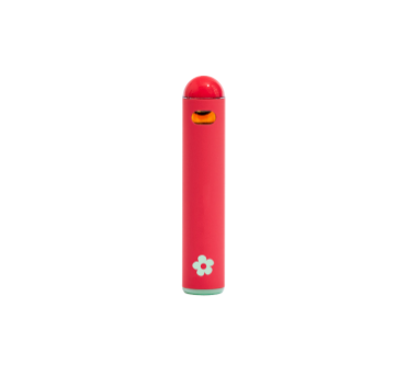 Photograph of product: Edie Parker | Disposable | Lemon Watermelon
