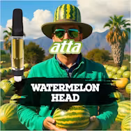Photograph of product: ATTA - WATERMELON HEAD 1G HYBRID