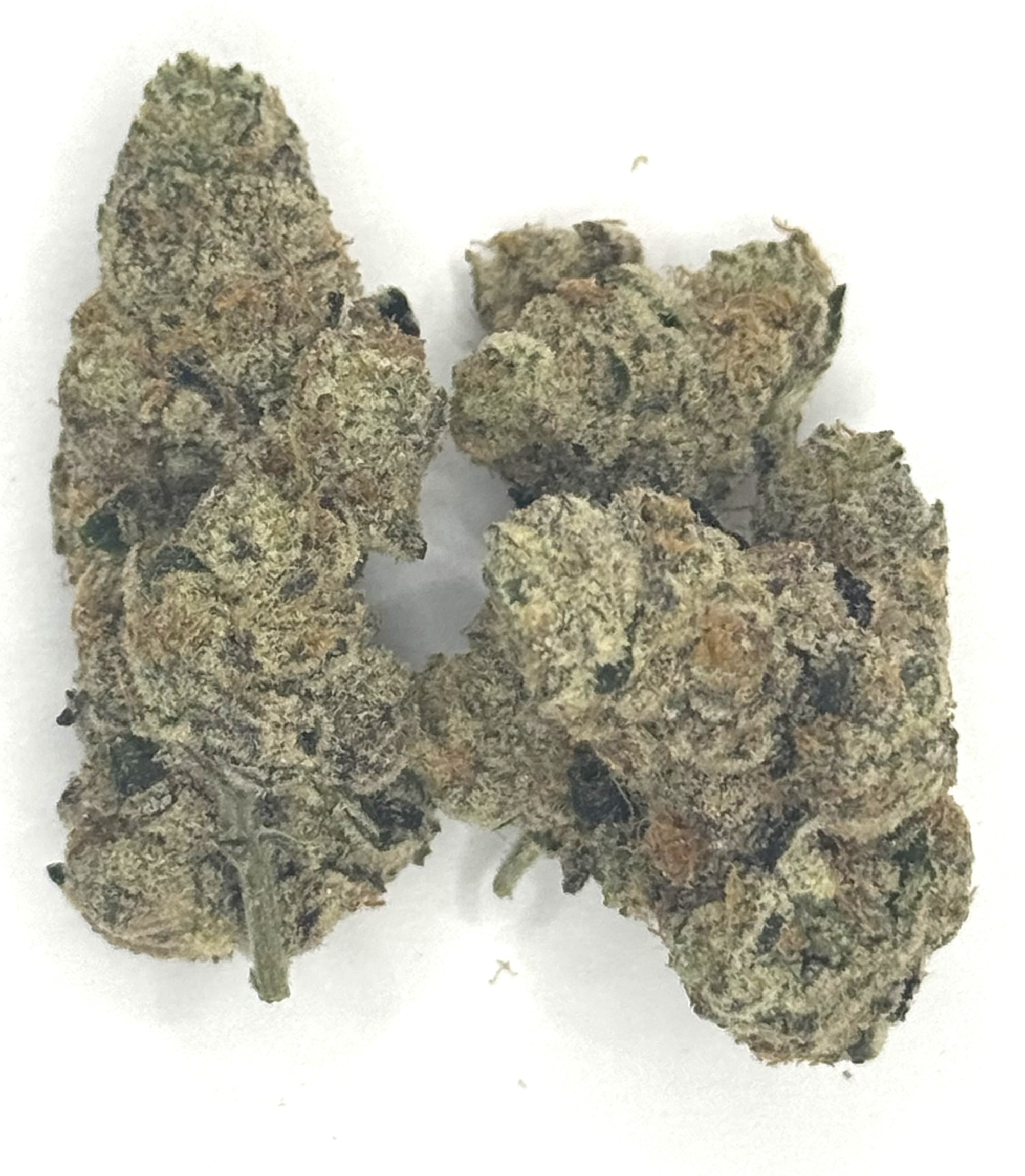 Photograph of product: HOG | Apricot Jelly - 28g