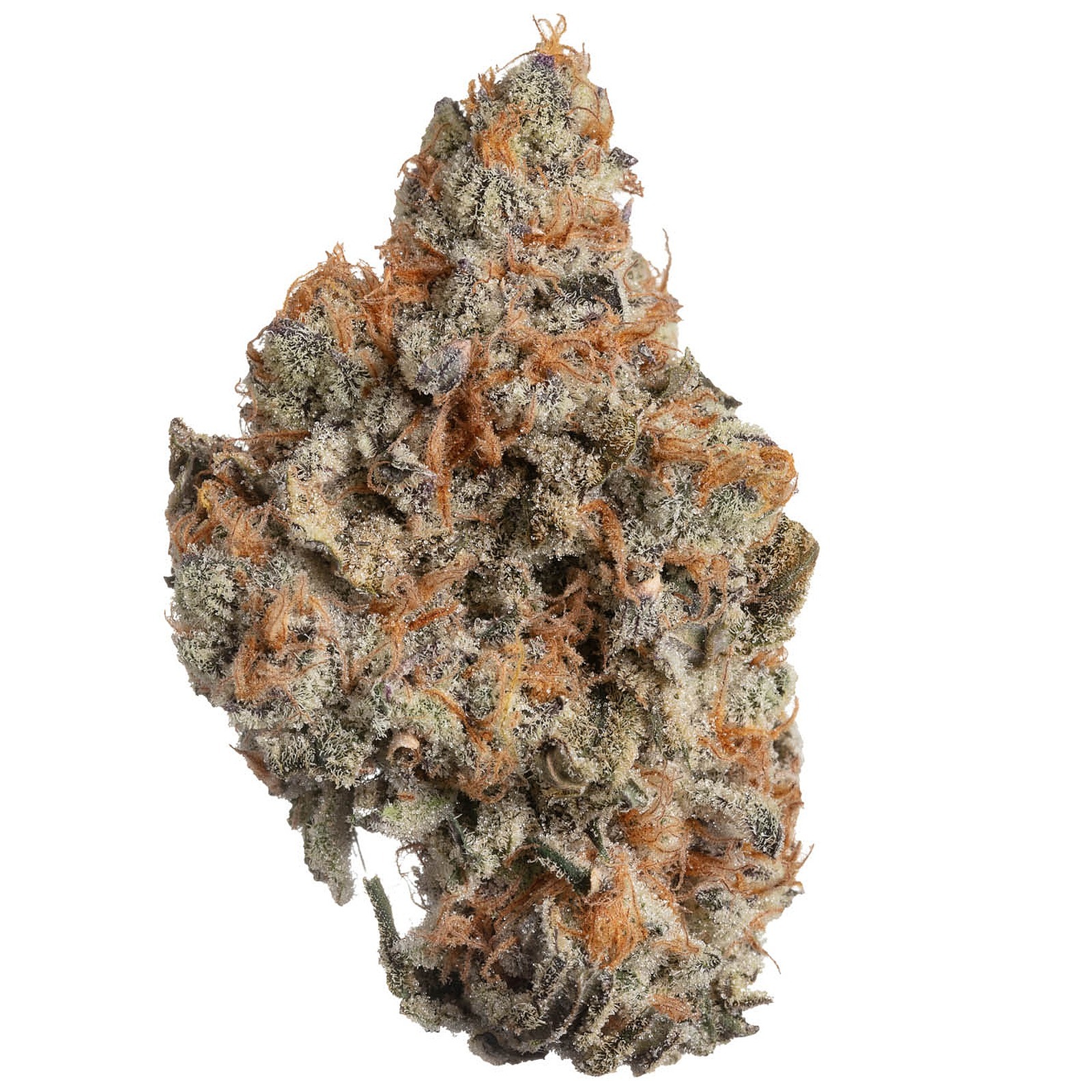 Photograph of product: GMO x Mai Tai by Meraki Gardens
