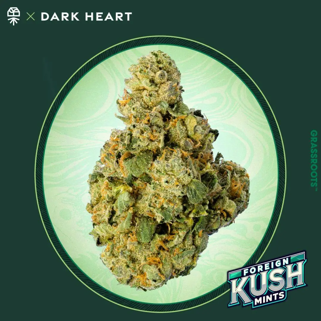 Photograph of product: Grassroots x Dark Heart | 1g Flower | Foreign Kush Mints