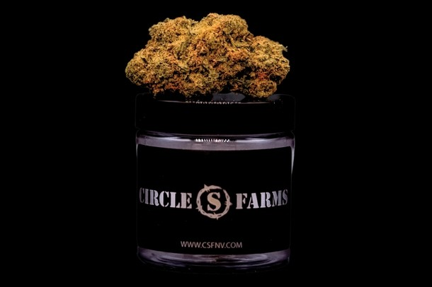 Photograph of product: Sin City | Flower | True Mints - 3.5g