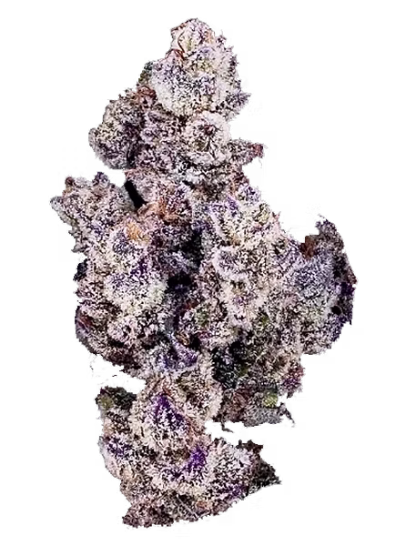 Photograph of product: Blackberry Sugar | TAX INCLUDED - 28g