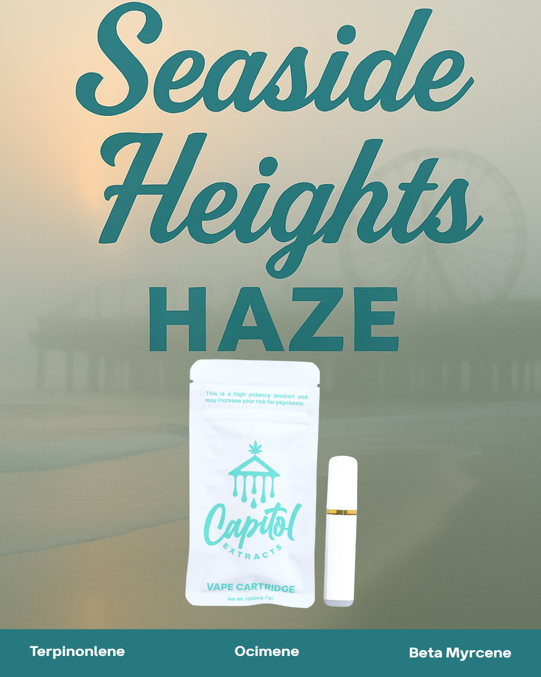 Photograph of product: Seaside Heights Haze - Disposable - 1g
