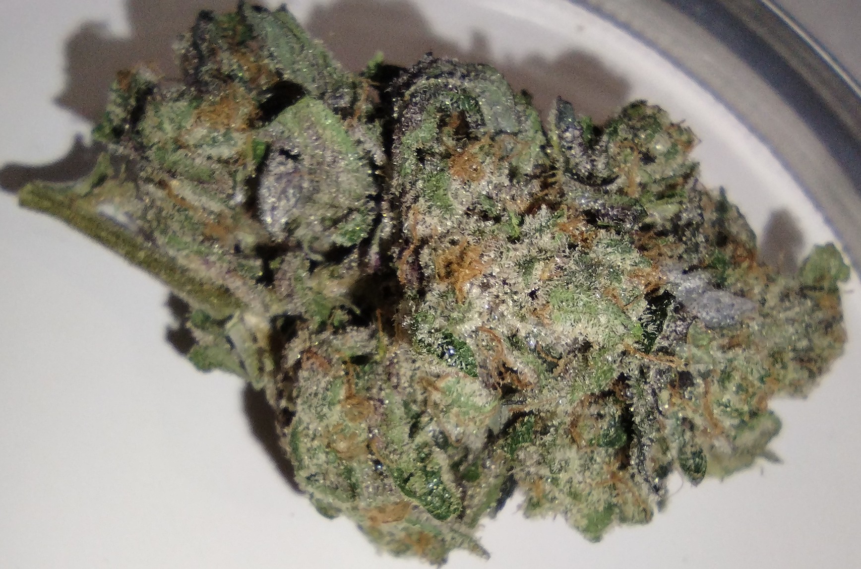 Photograph of product: Dakota Natural Growers - Blue Blockers - 7g - Flower