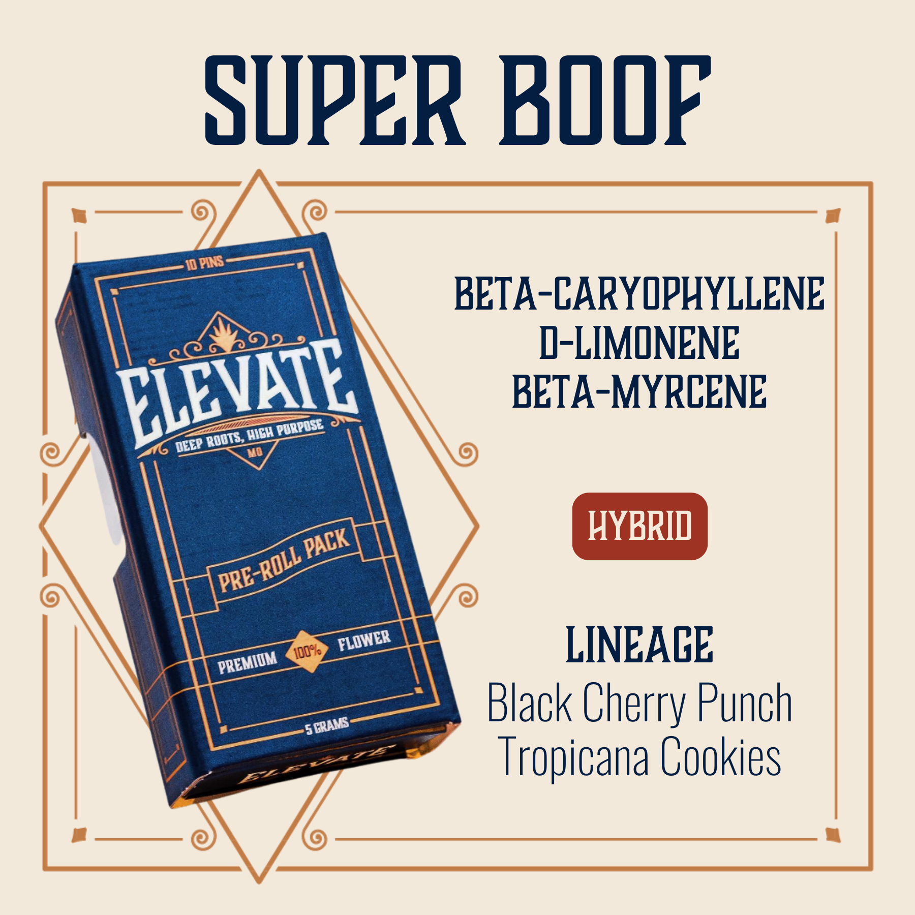 Photograph of product: Super Boof Pins Pre-Roll | 10-pack