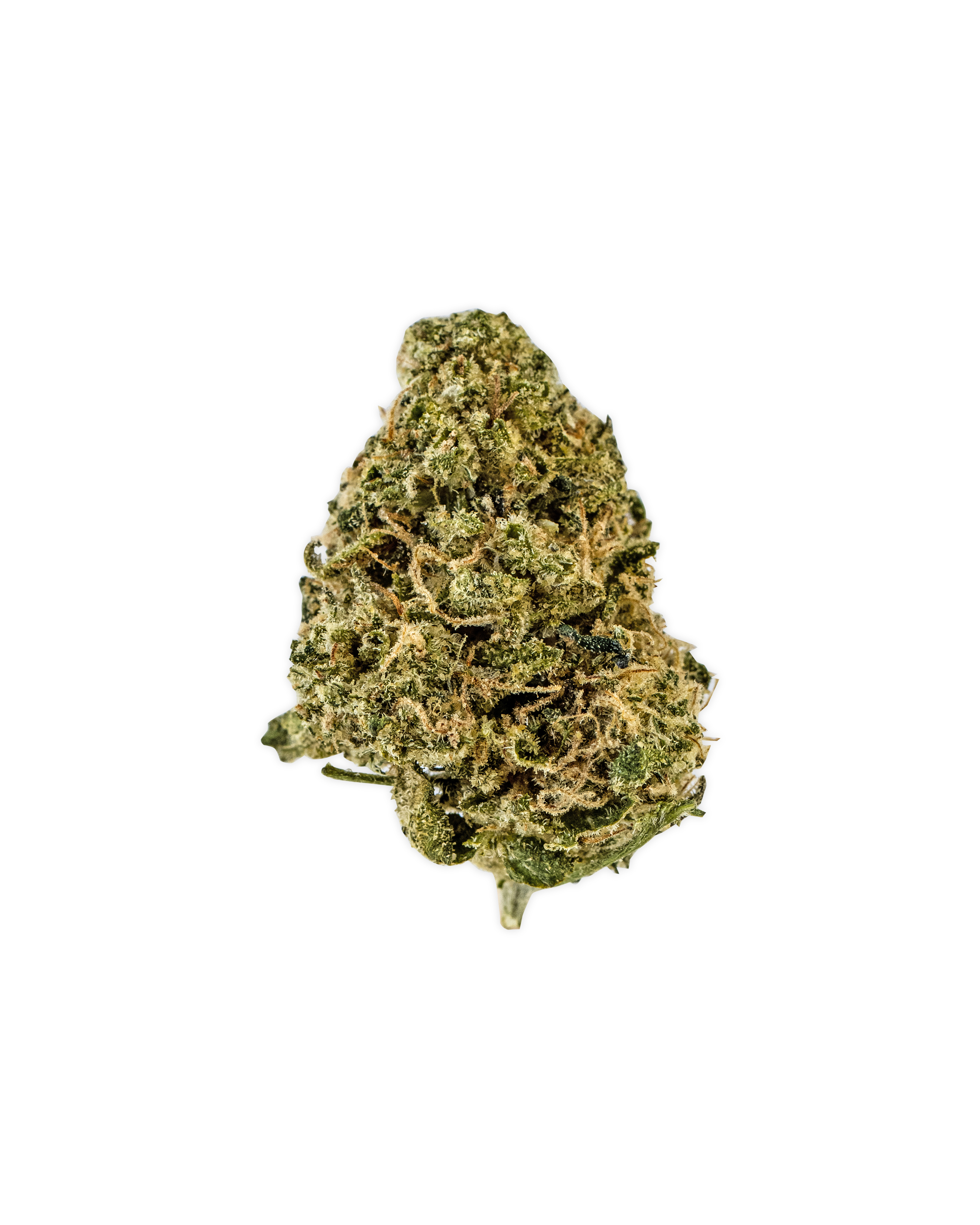 Photograph of product: Indoor BLACK MAPLE | 7 g Smalls - 7g