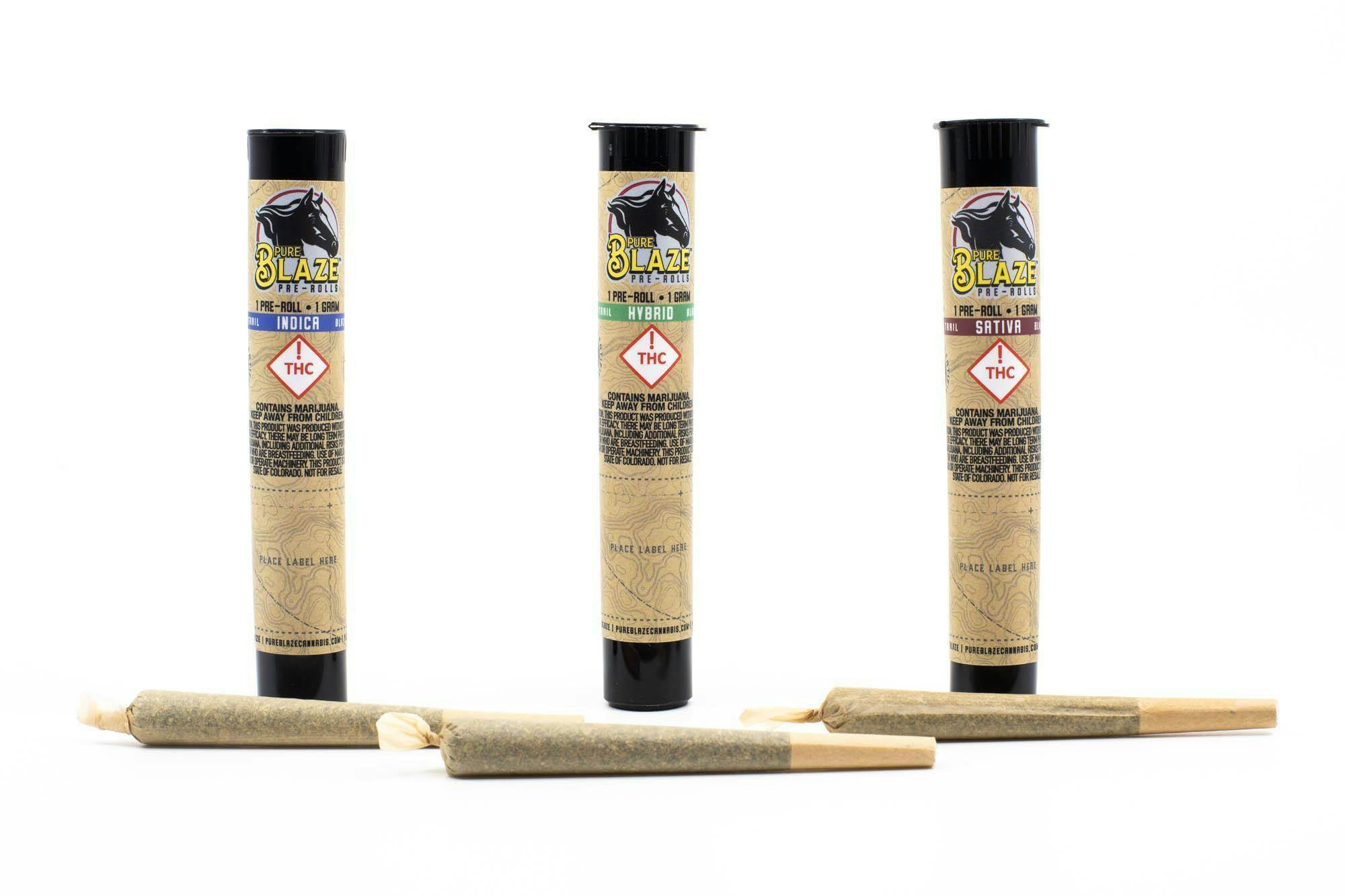 Photograph of product: Maggie's Farm - Apple Fritter Preroll Single - 1 g