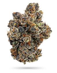 Photograph of product: Revolution Kush Mintz 3.5g Oui'd Flower