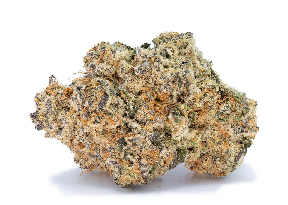 Photograph of product: CAMP - Flower - Biscotti Pie #6 (I) - 3.5g