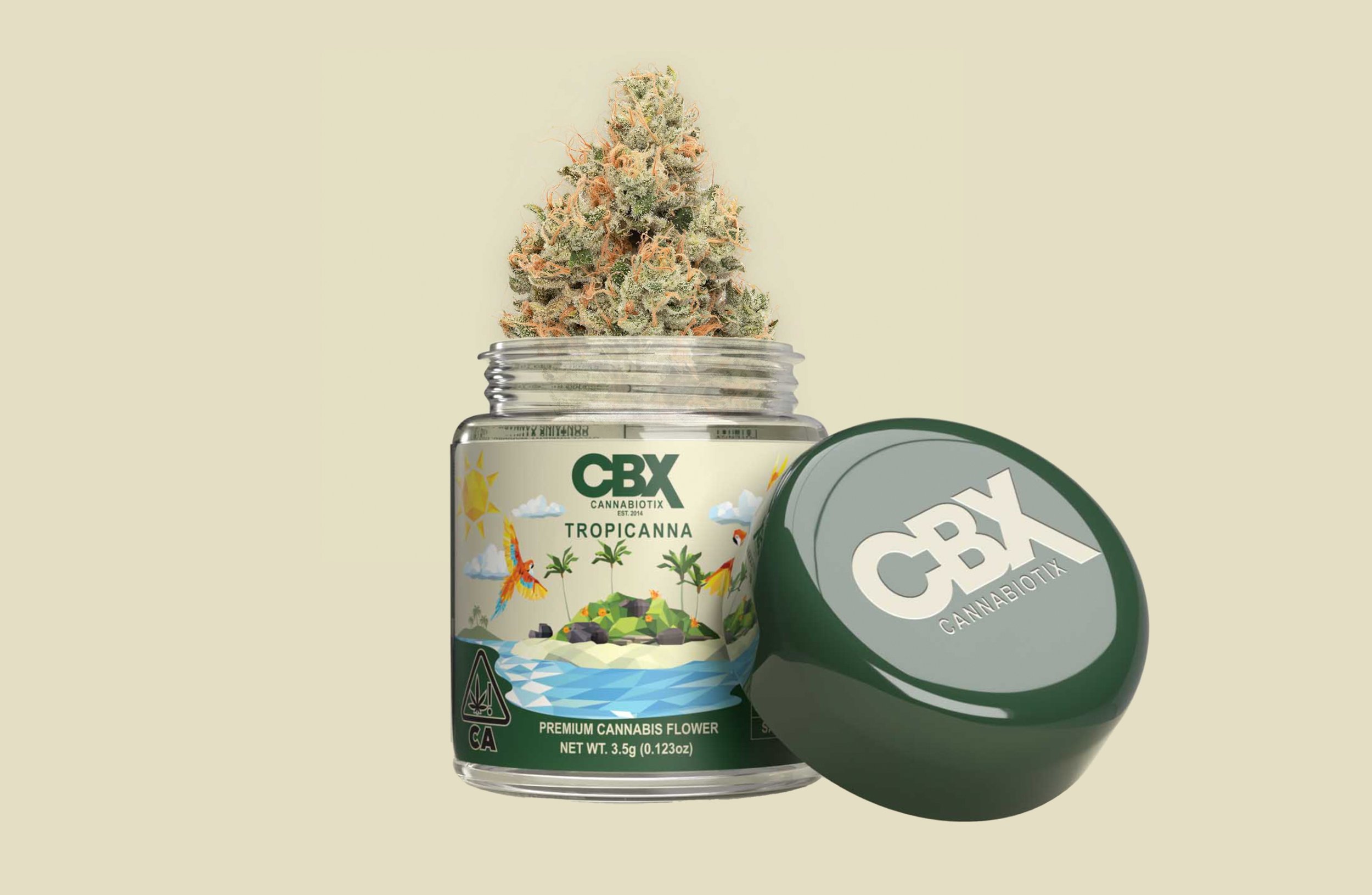 Photograph of product: TROPICANNA 3.5G L1
