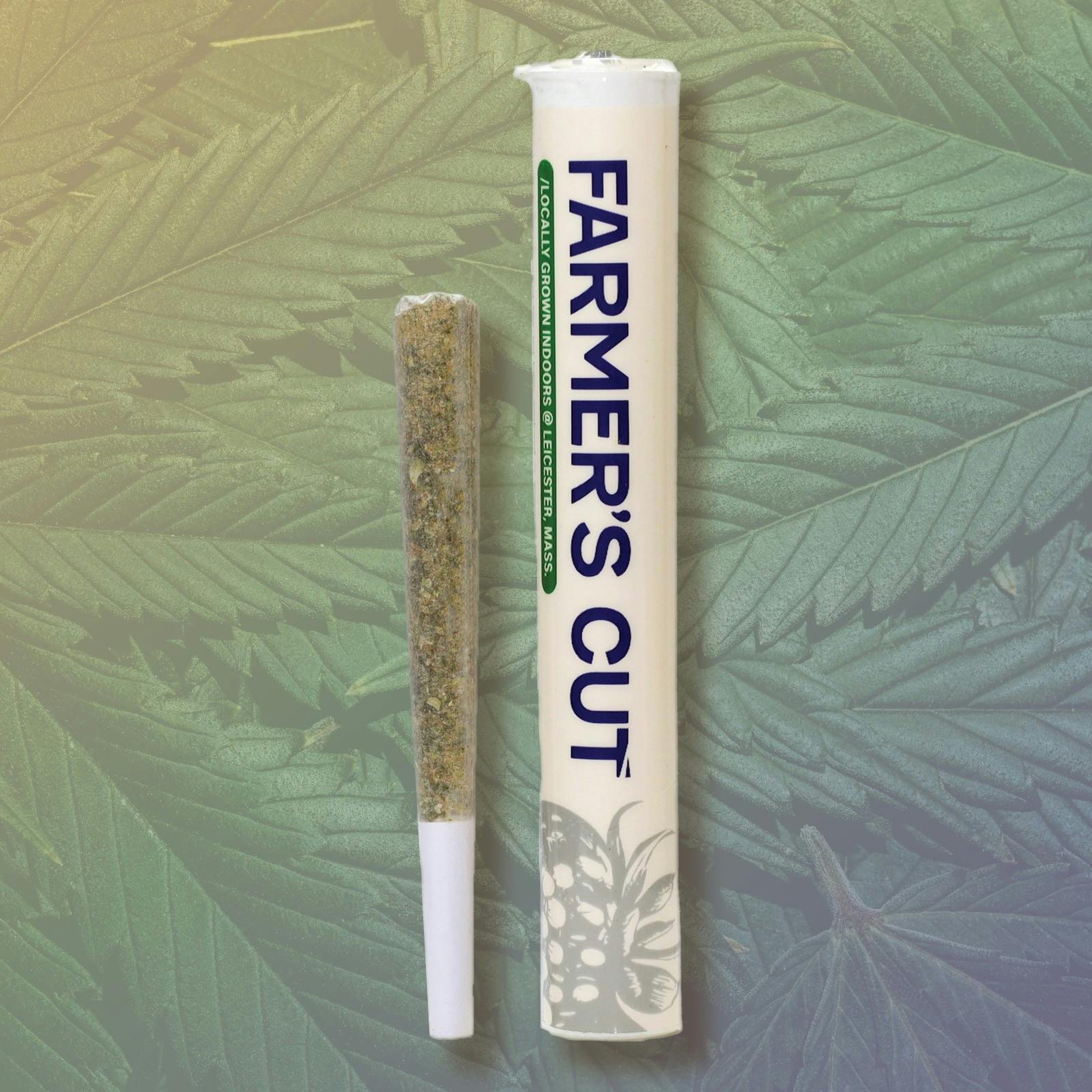 Photograph of product: Chromatic Funk | 1g