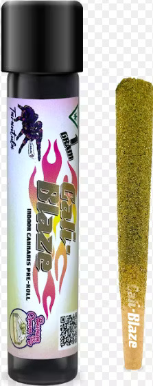 Photograph of product: Banana Cream Pie Tarantula- Cali Blaze