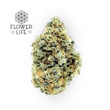 Photograph of product: Flower of Life - Bulk Flower - Sacred G - 28g