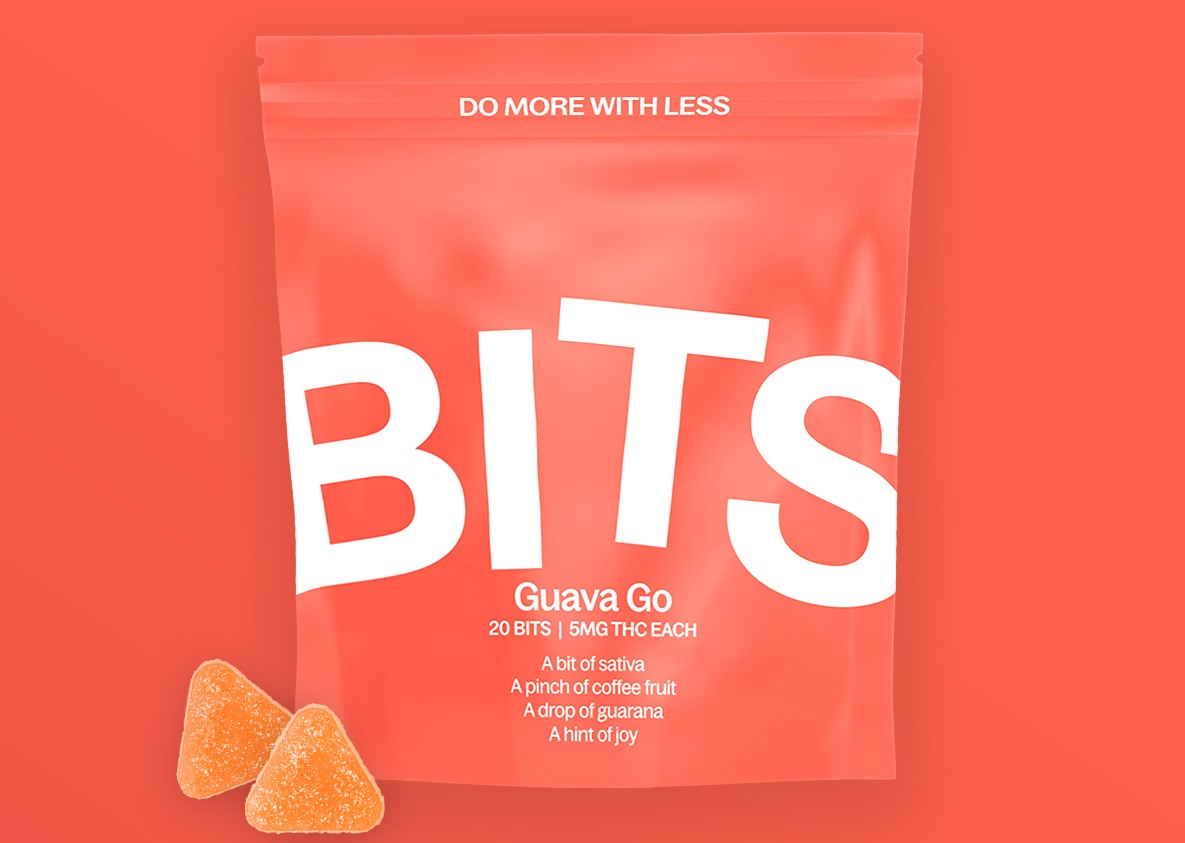 Photograph of product: Guava Go Bits 20-pack