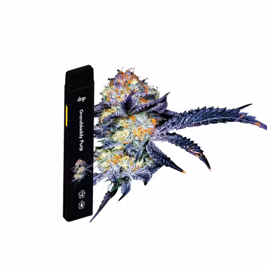 Photograph of product: Drip All in One Disposable Granddaddy Purp