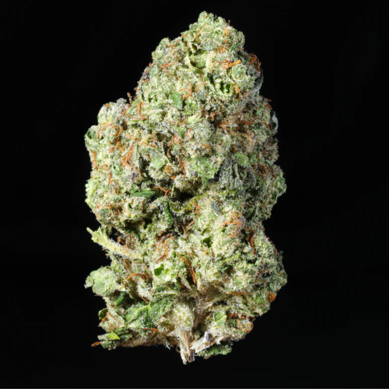 Photograph of product: Florist Farms | Green Crack (S)  | Flower | 7g