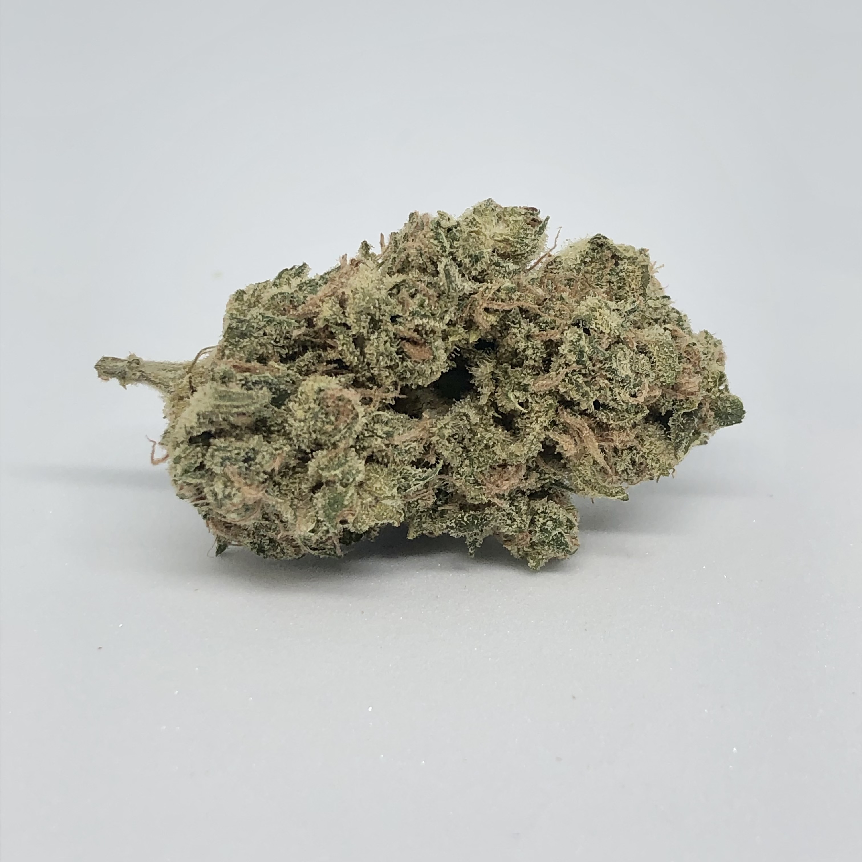 Photograph of product: Blueberry Headband - 28g