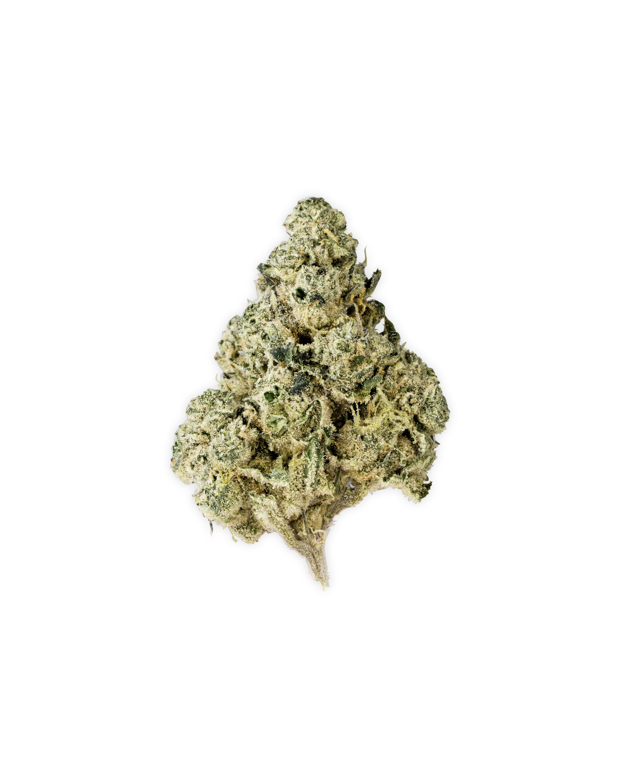 Photograph of product: Indoor BROWNIE SCOUT - 28g