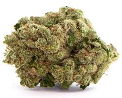 Photograph of product: Bold Cultivation Corey's Rainbow Bridge 3.5g Oui'd Hybrid Flower