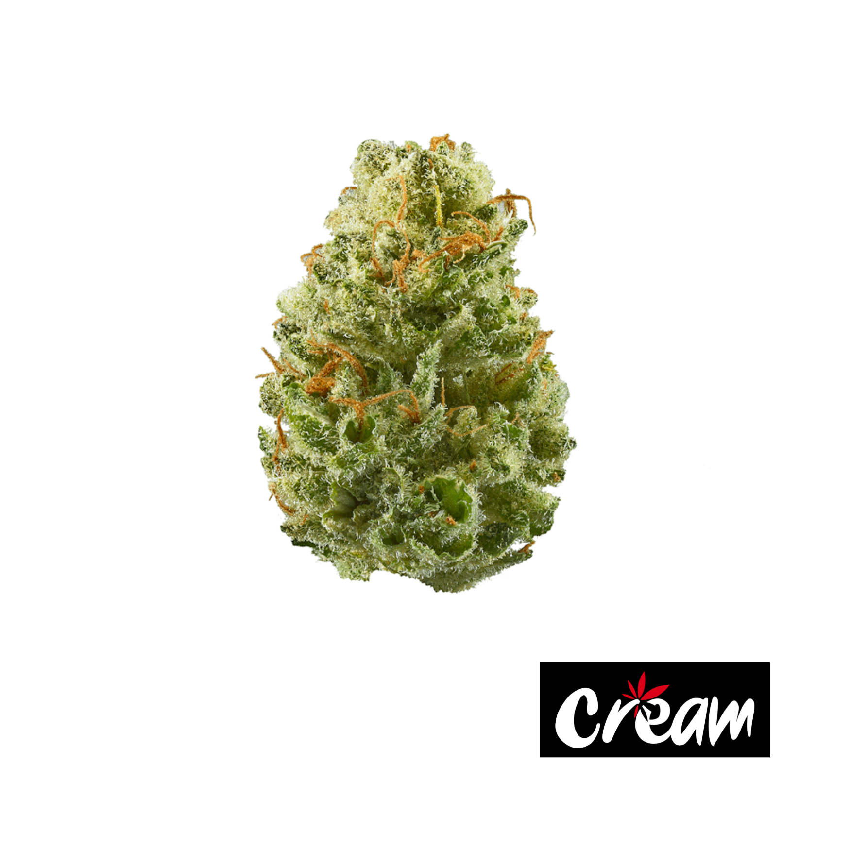 Photograph of product: Mexican Street Corn - 3.5g