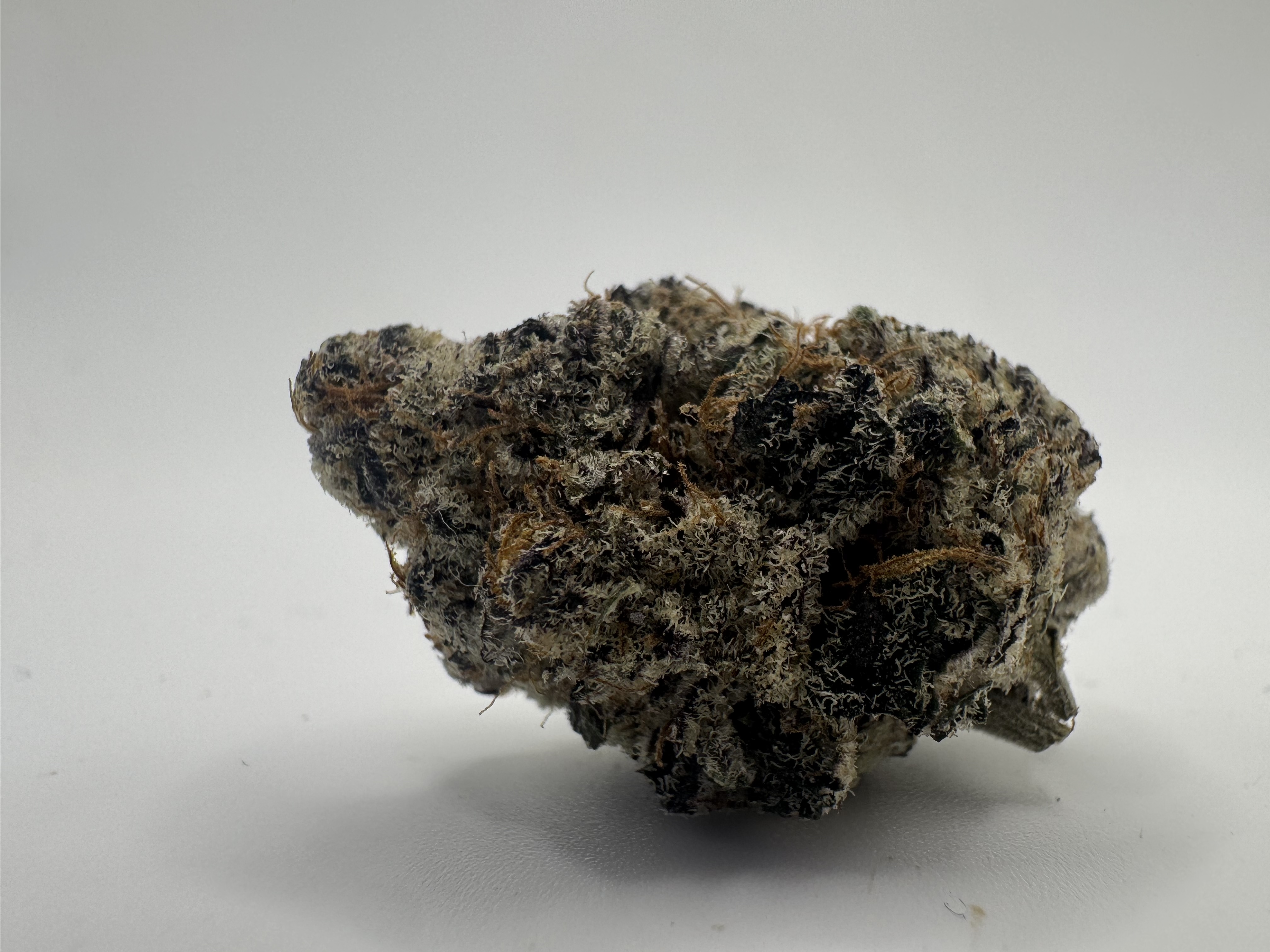 Photograph of product: Cosmic 22 - Indoor - Pre-Packs - 28g