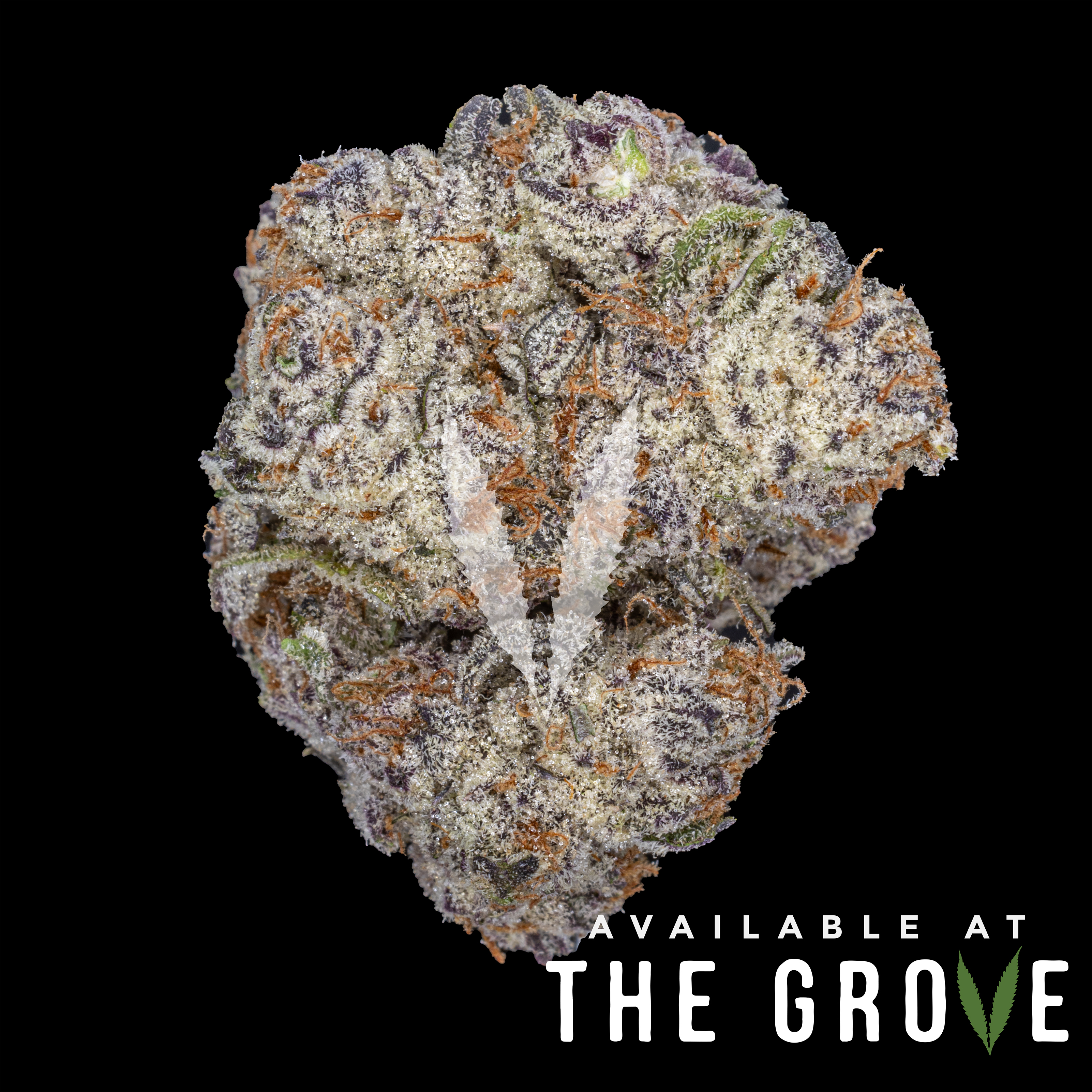 Photograph of product: CAM | Devil Driver 1/8ths - 3.5g