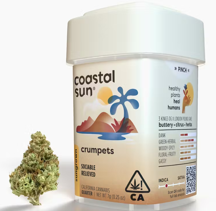 Photograph of product: Crumpets [H] Pre Pack   Coastal Sun - 7g