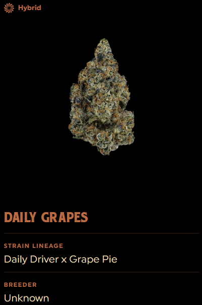Photograph of product: Daily Grapes Flower 1g